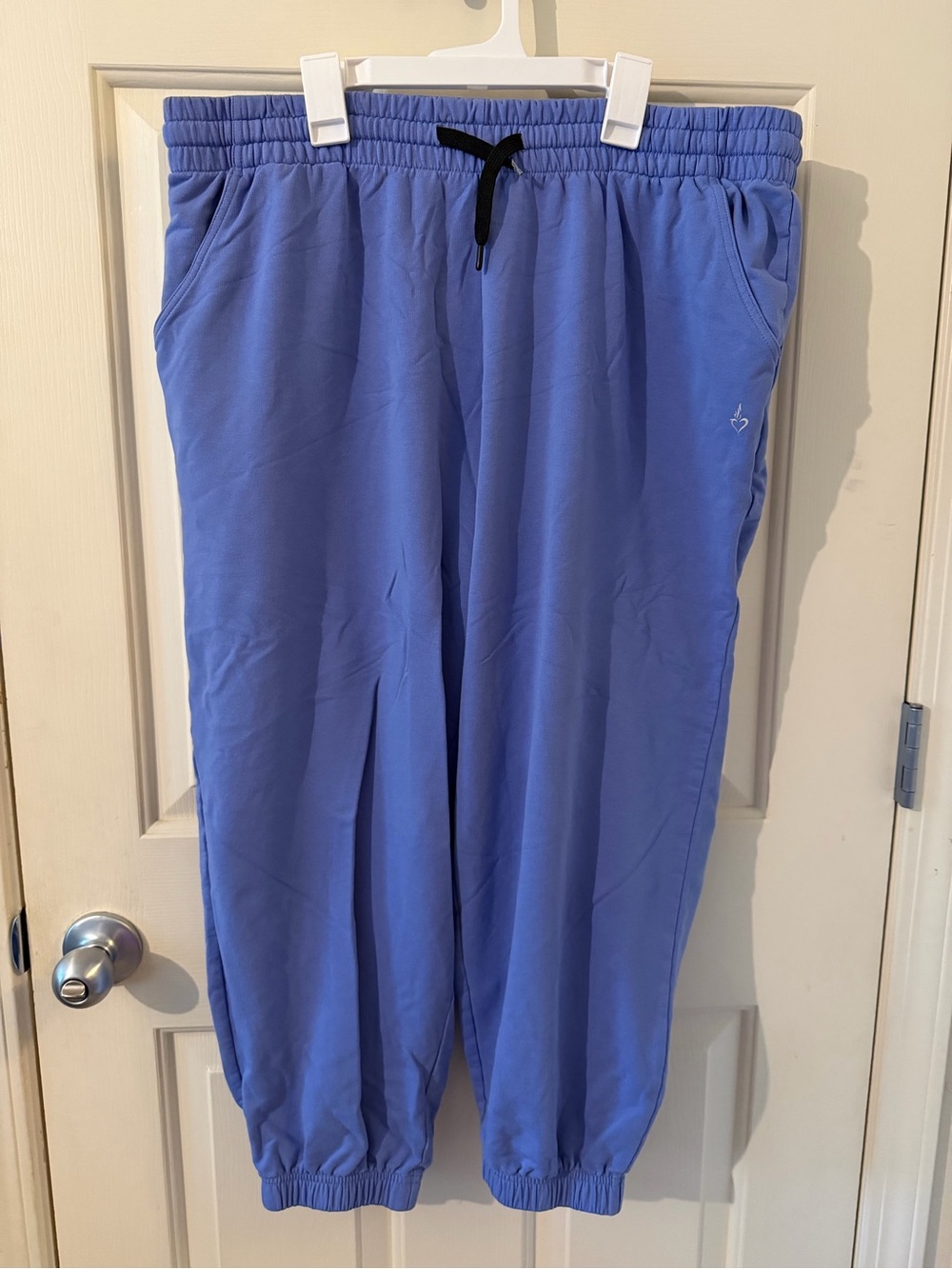 torrid Lavender-Blue Active Joggers